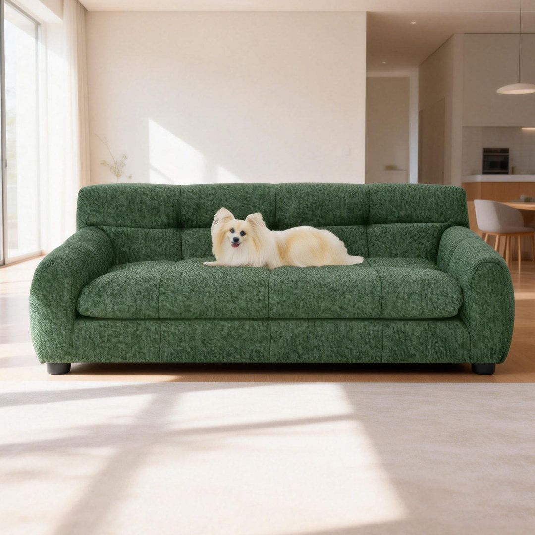 Green pets-friendly sofas