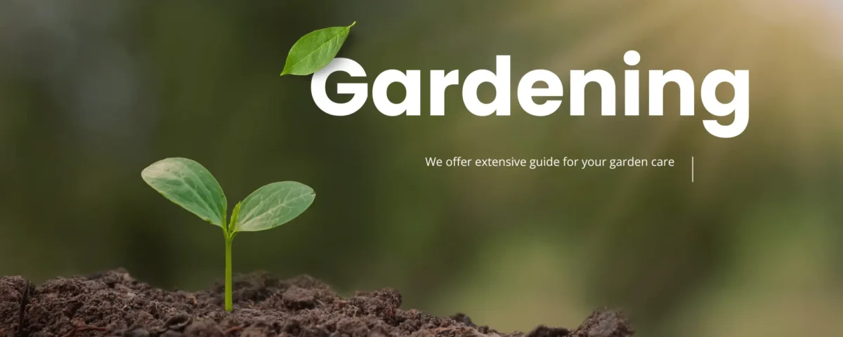 Spring Garden Preparation