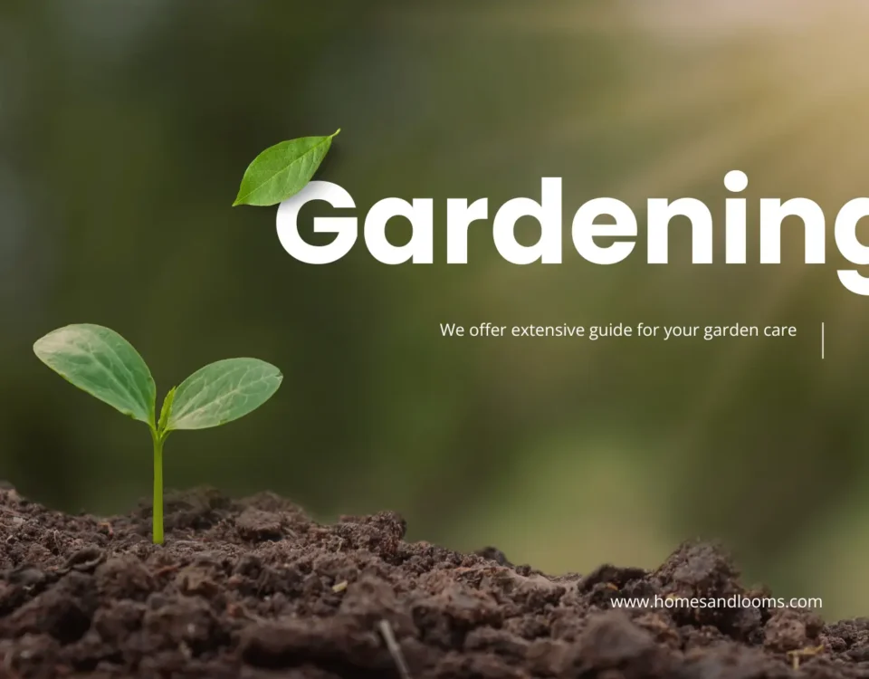 Spring Garden Preparation