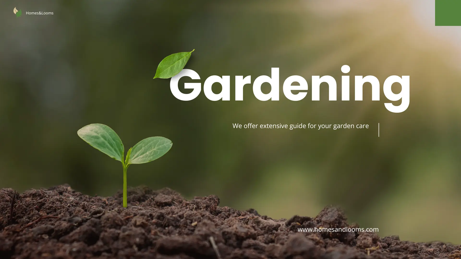 Spring Garden Preparation