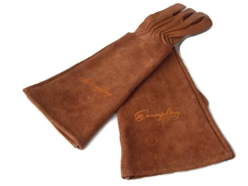 Pruning rose gloves