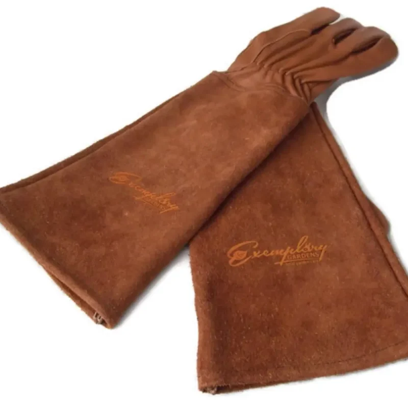 Pruning rose gloves