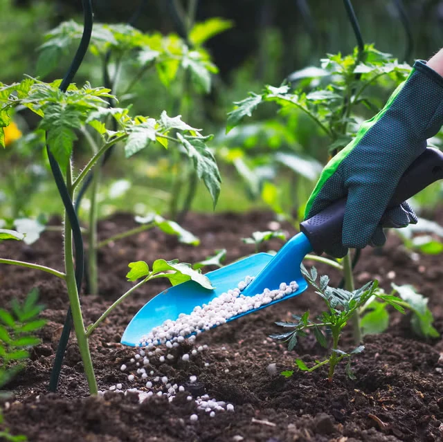 hoe to use organic fertelizer