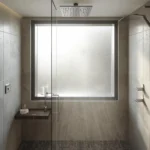 shower window