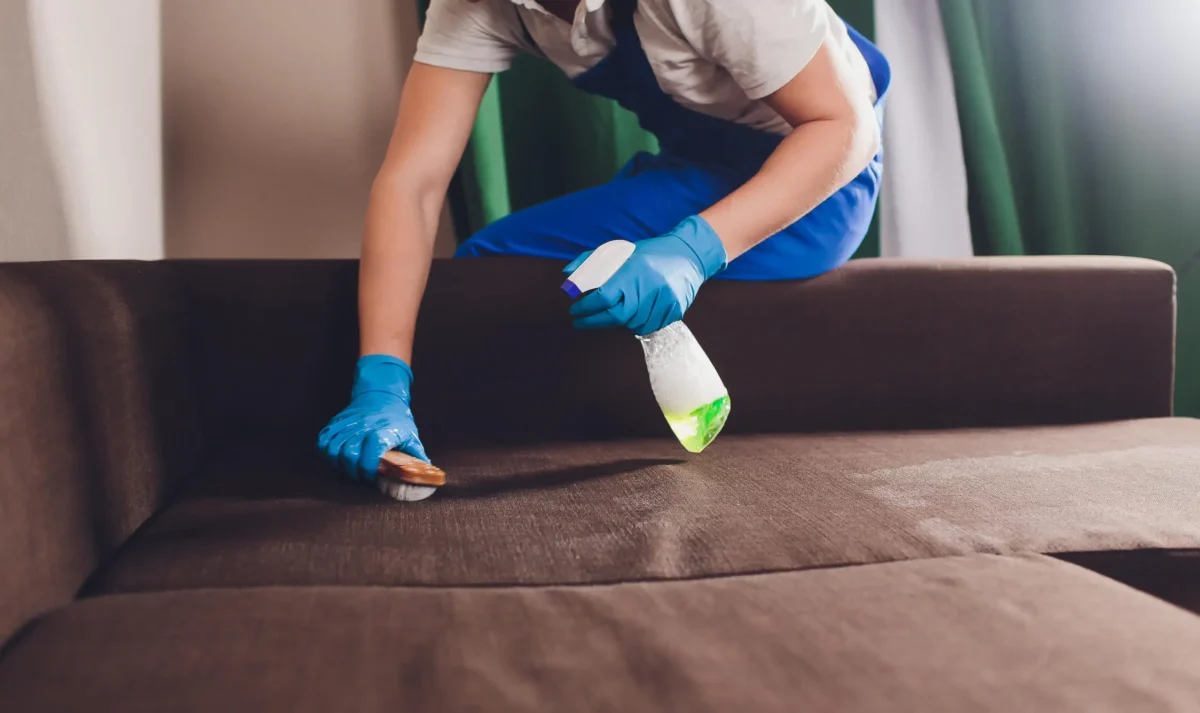 fabric prodtector for furniture